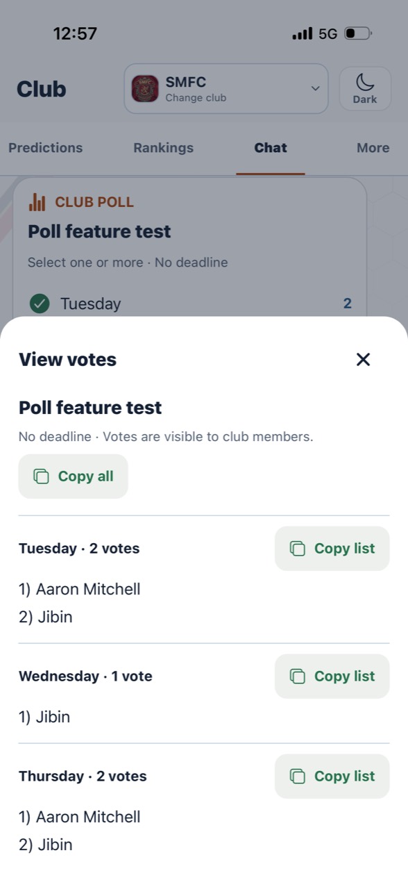 View votes sheet with named voters, Copy all and per-option Copy list buttons